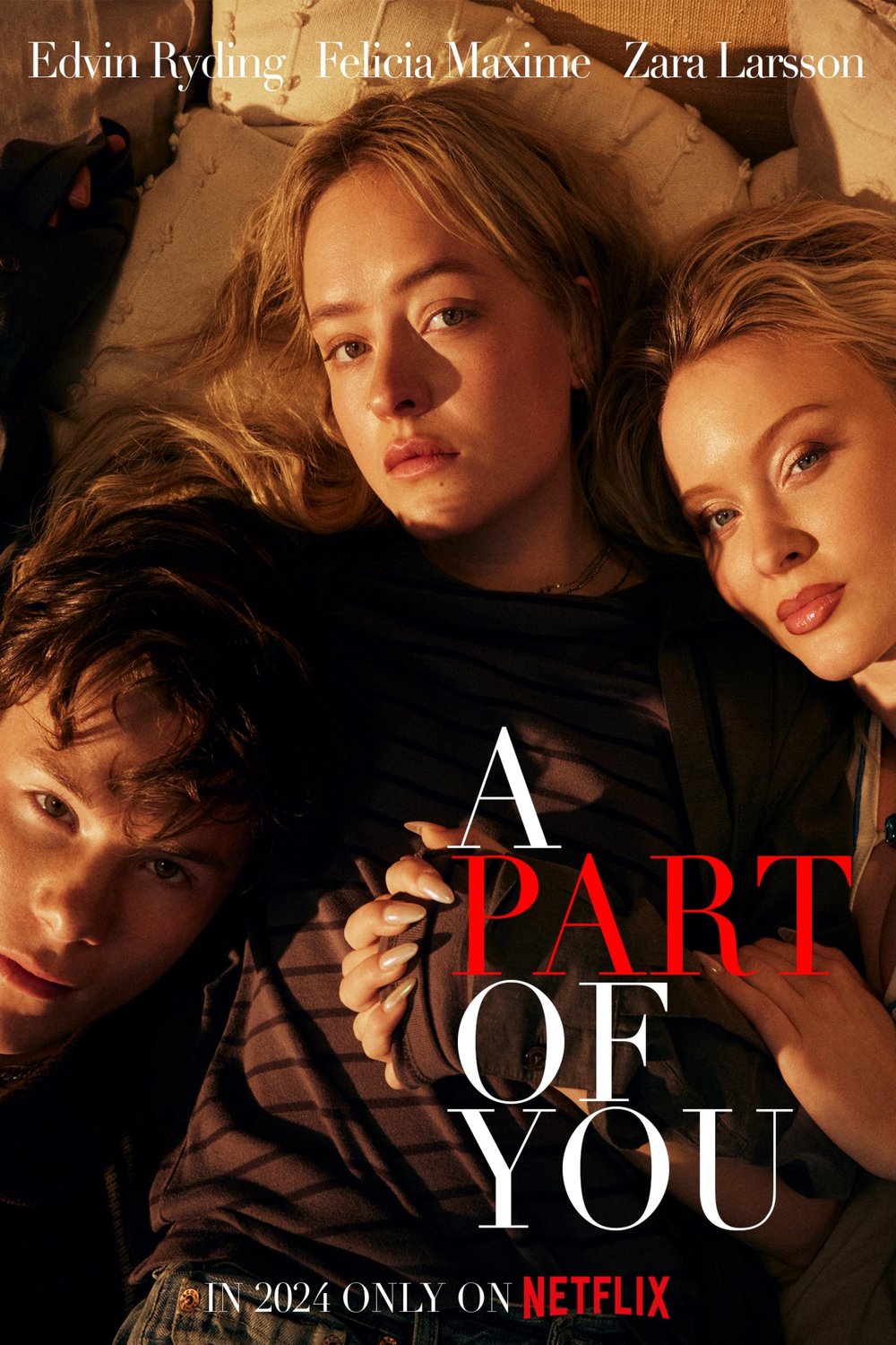 Poster of the movie En del av dig