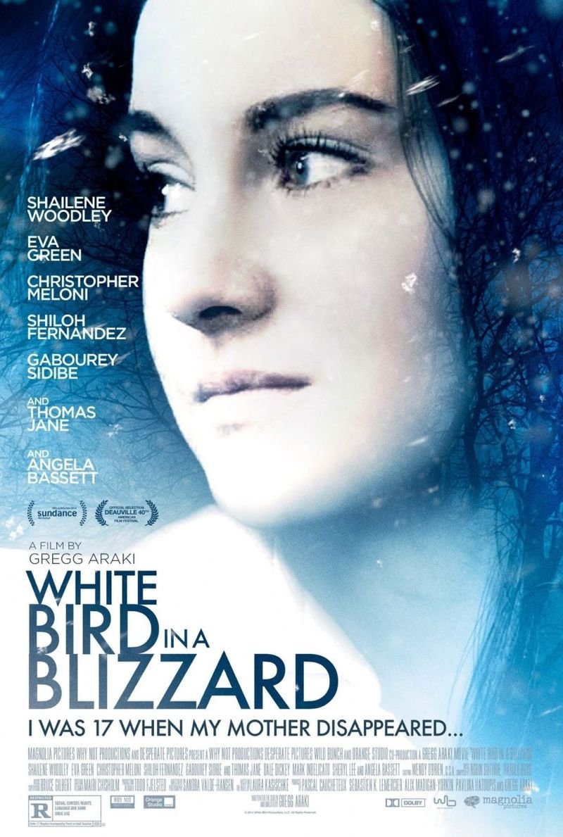 L'affiche du film White Bird in a Blizzard