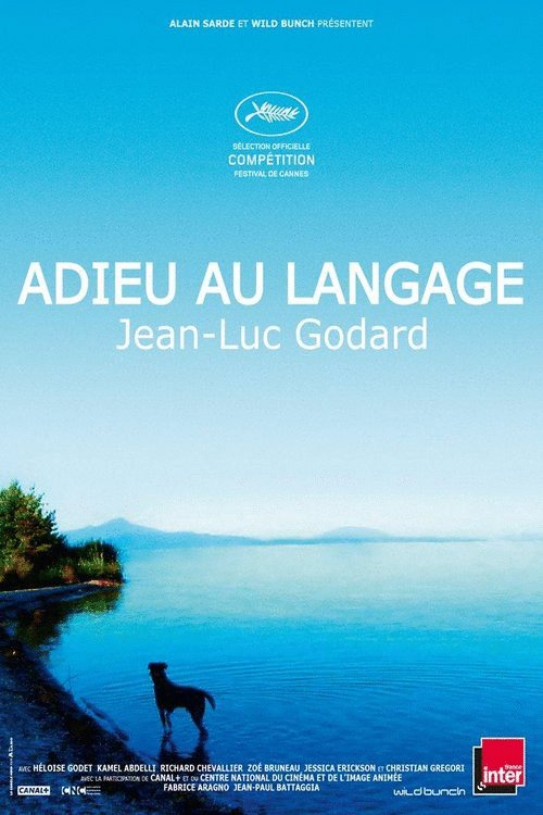 Poster of the movie Adieu au langage
