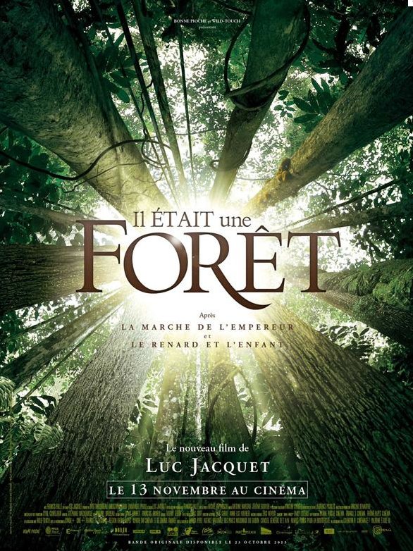 Poster of the movie Il était une forêt