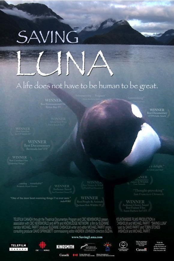 Poster of the movie Saving Luna