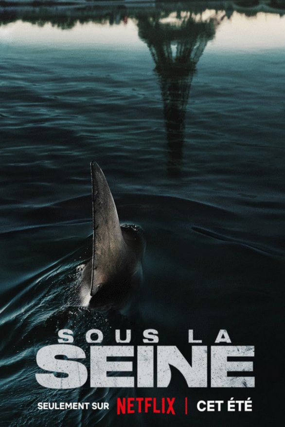 Poster of the movie Sous la Seine