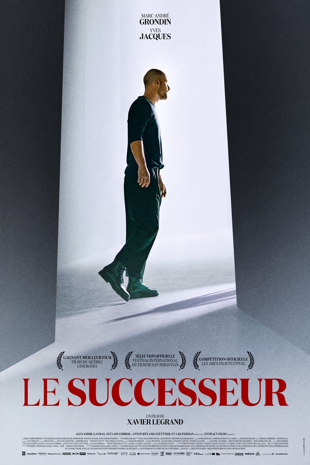 Poster of the movie Le successeur