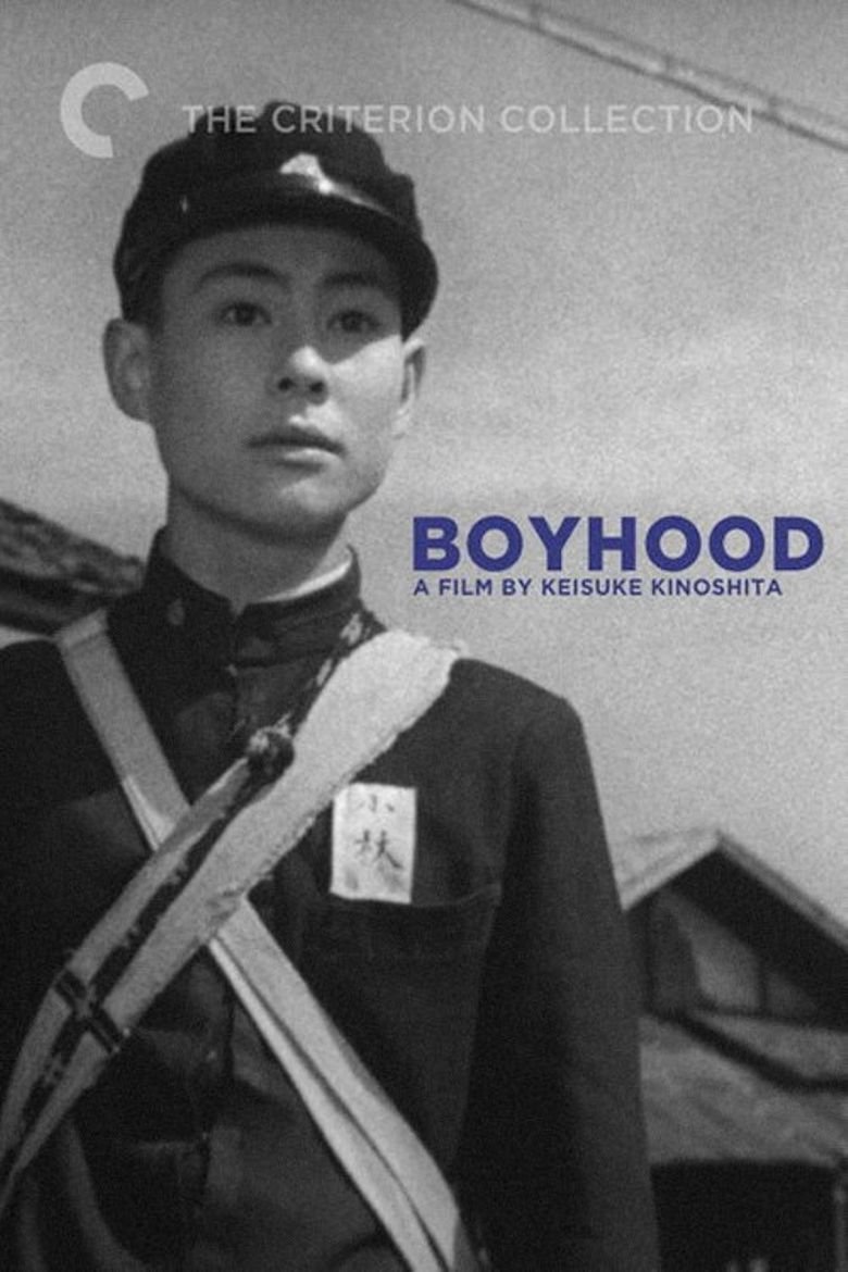 Japanese poster of the movie Boyhood