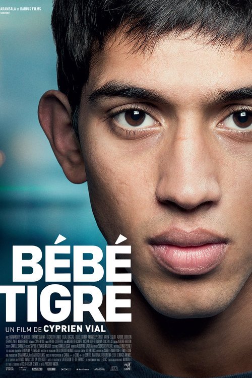 Poster of the movie BéBé tigre