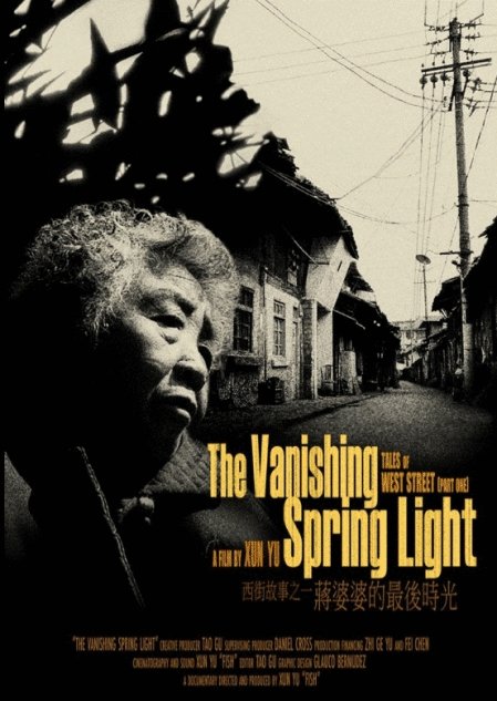 Poster of the movie The Vanishing Spring Light