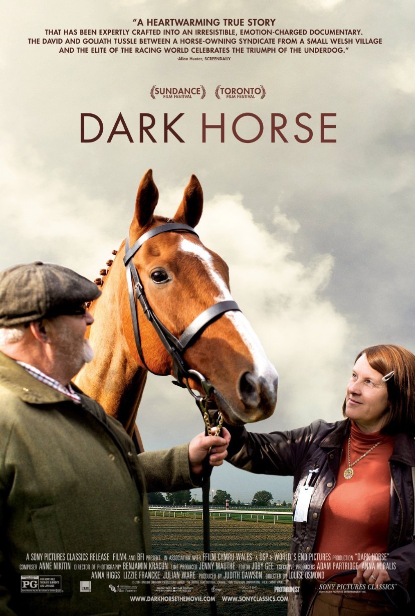 L'affiche du film Dark Horse