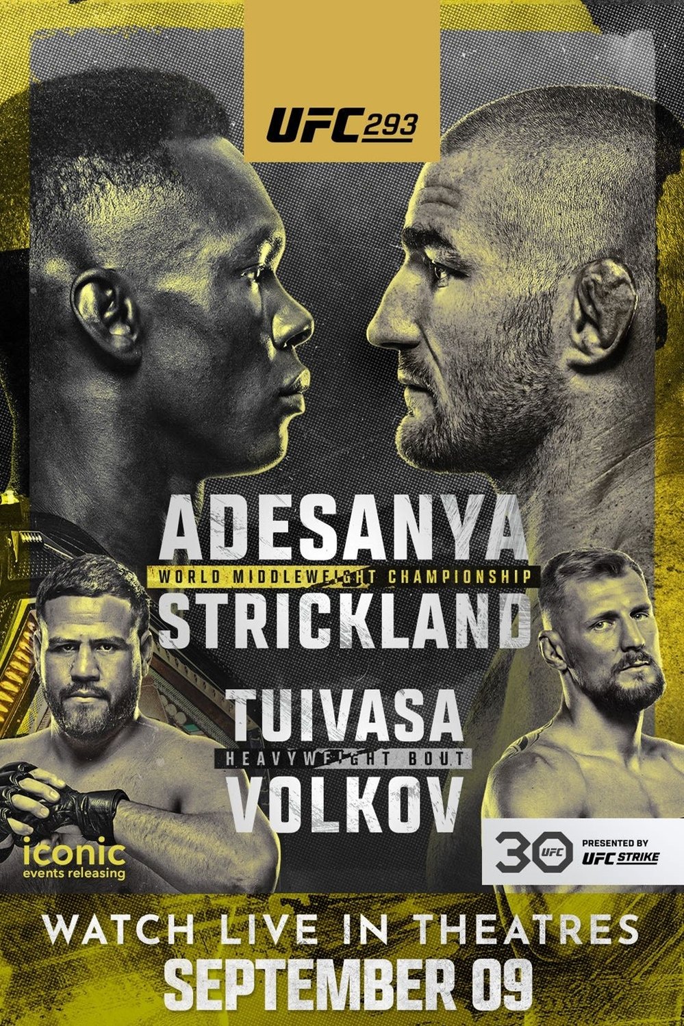 L'affiche du film UFC 293