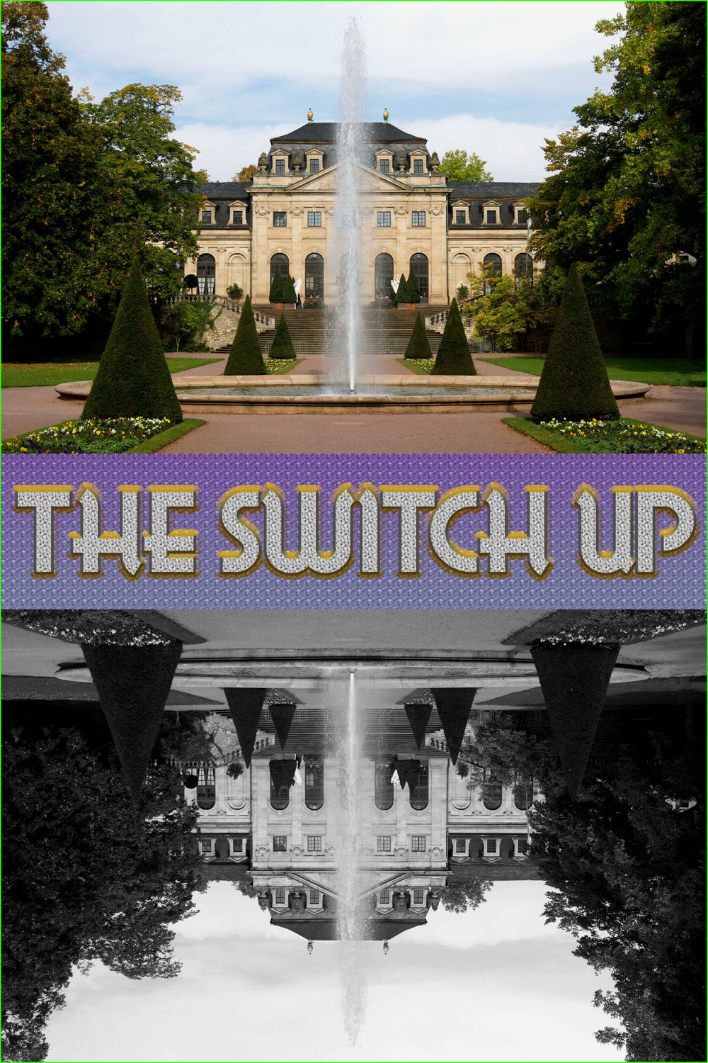 Poster of the movie The Switch Up