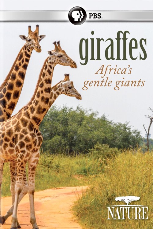 Poster of the movie Giraffes: Africa's Gentle Giants