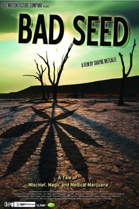 L'affiche du film Bad Seed: A Tale of Mischief, Magic and Medical Marijuana