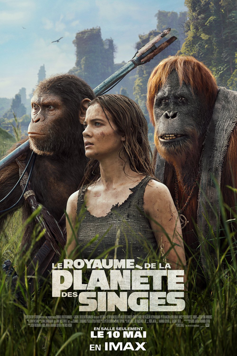 Poster of the movie Le Royaume de la Planète des Singes