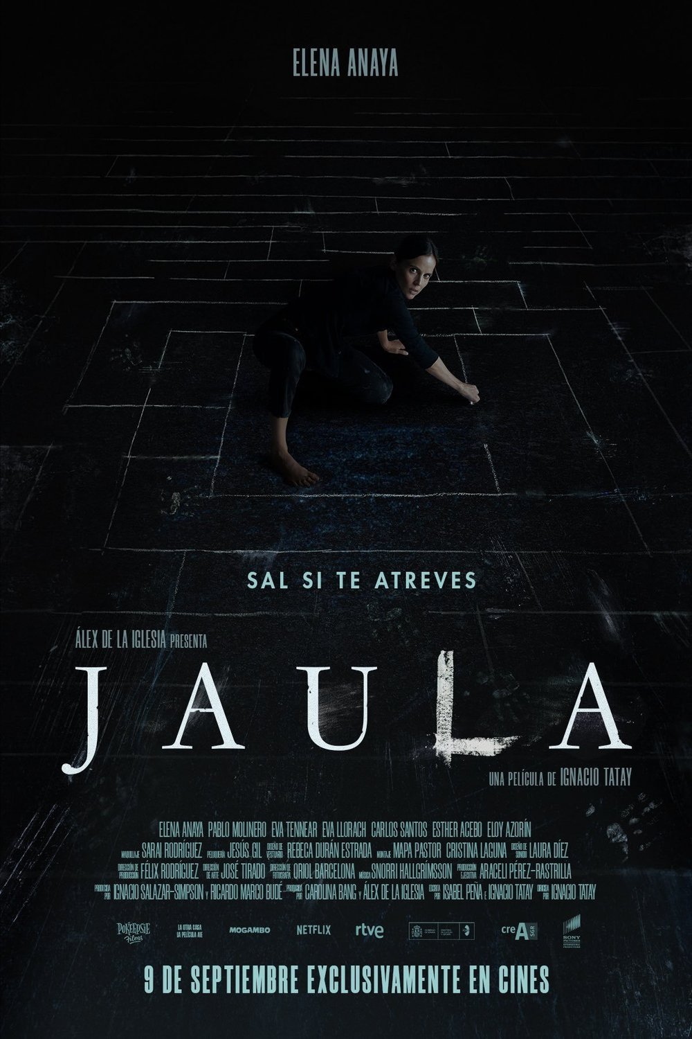Spanish poster of the movie Jaula