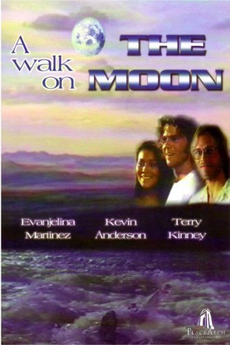 L'affiche du film A Walk on the Moon