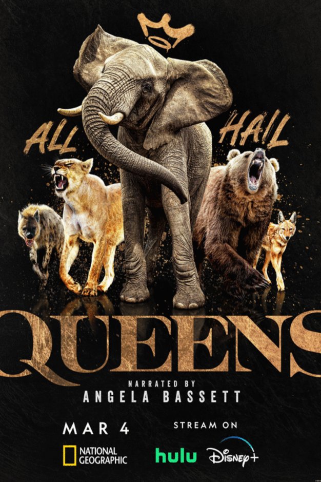 Poster of the movie Queens
