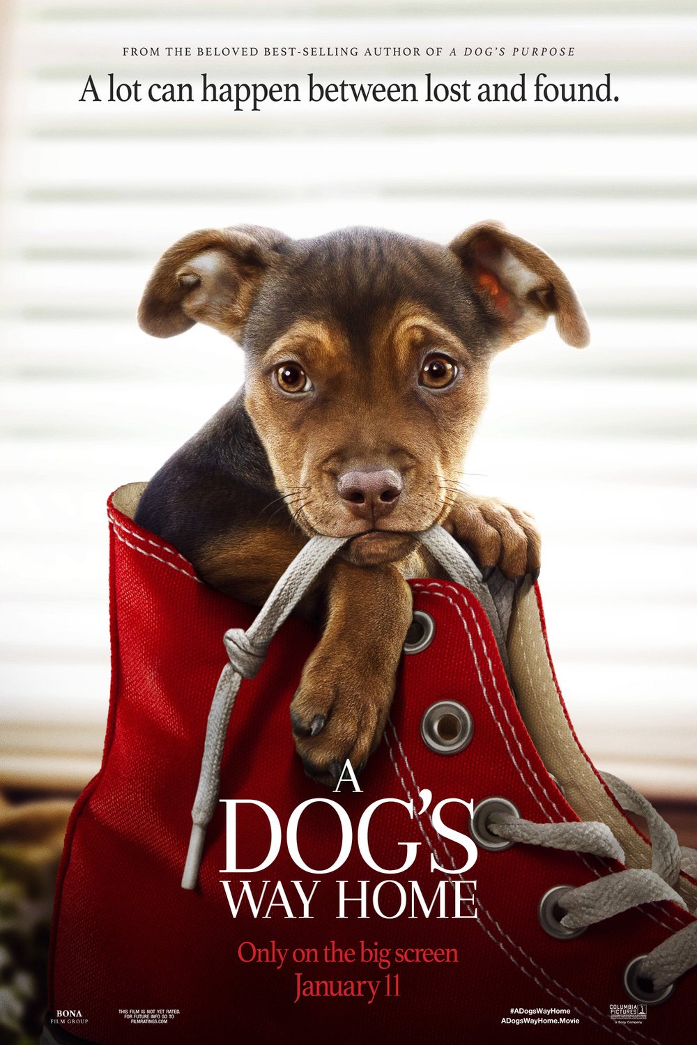 L'affiche du film A Dog's Way Home