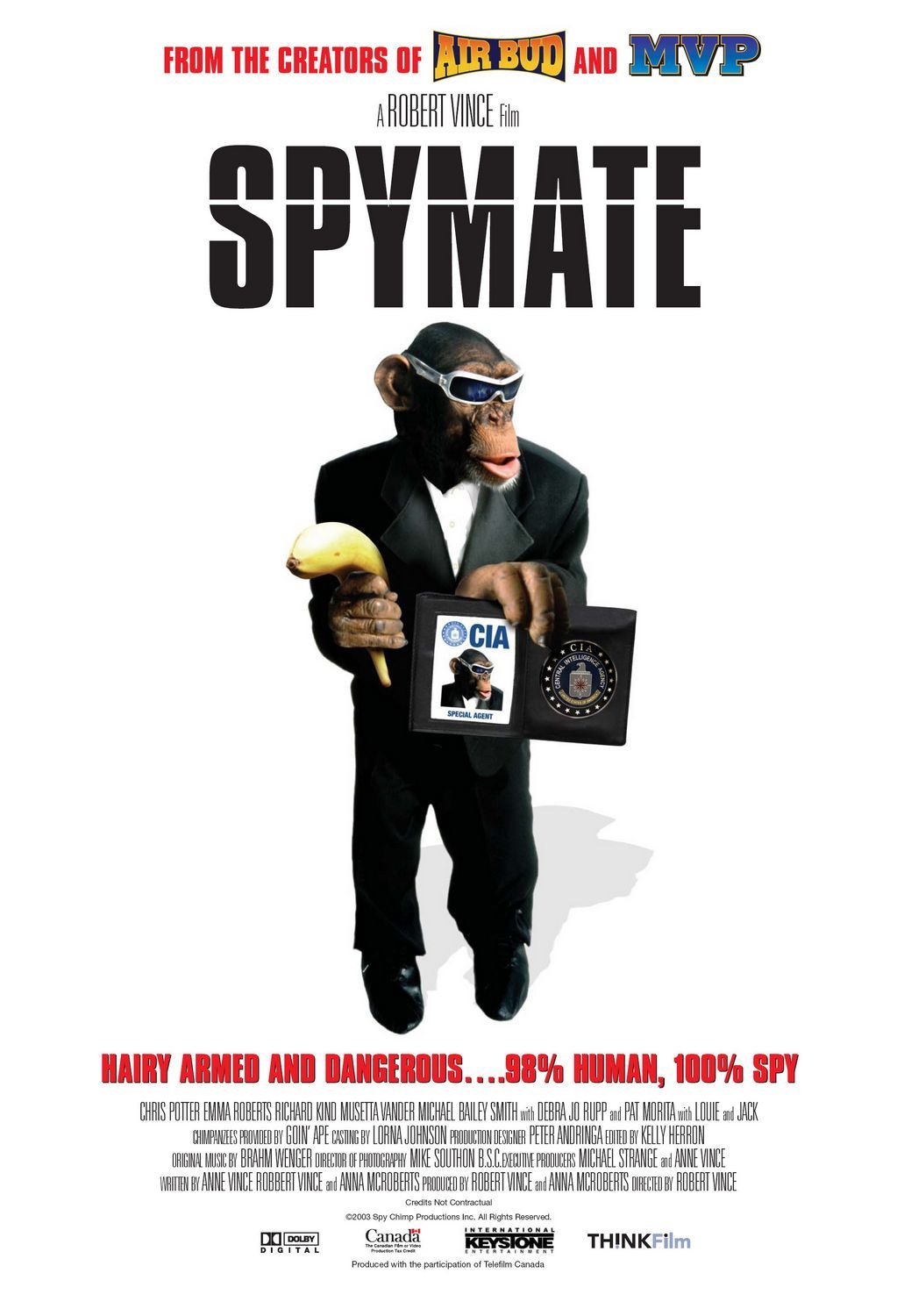 L'affiche du film Spymate