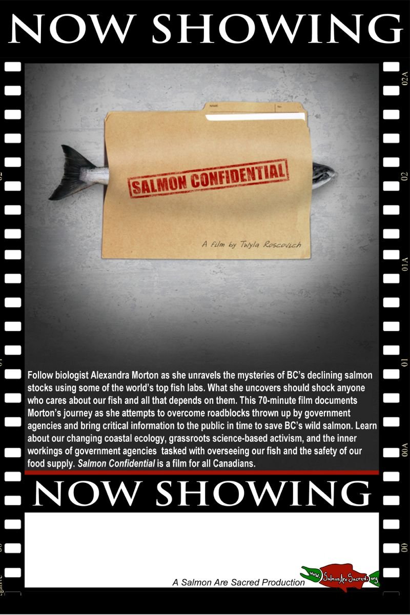 Poster of the movie Salmon Confidential