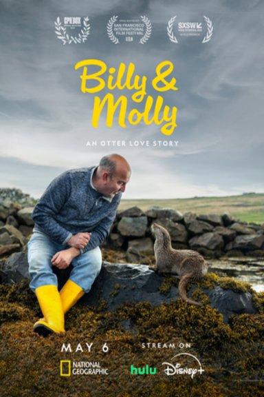 L'affiche du film Billy & Molly: An Otter Love Story