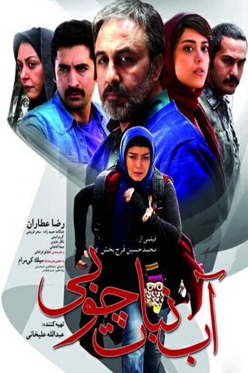 Persian poster of the movie Abnabat Choobi