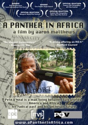 Poster of the movie A Panther In Africa