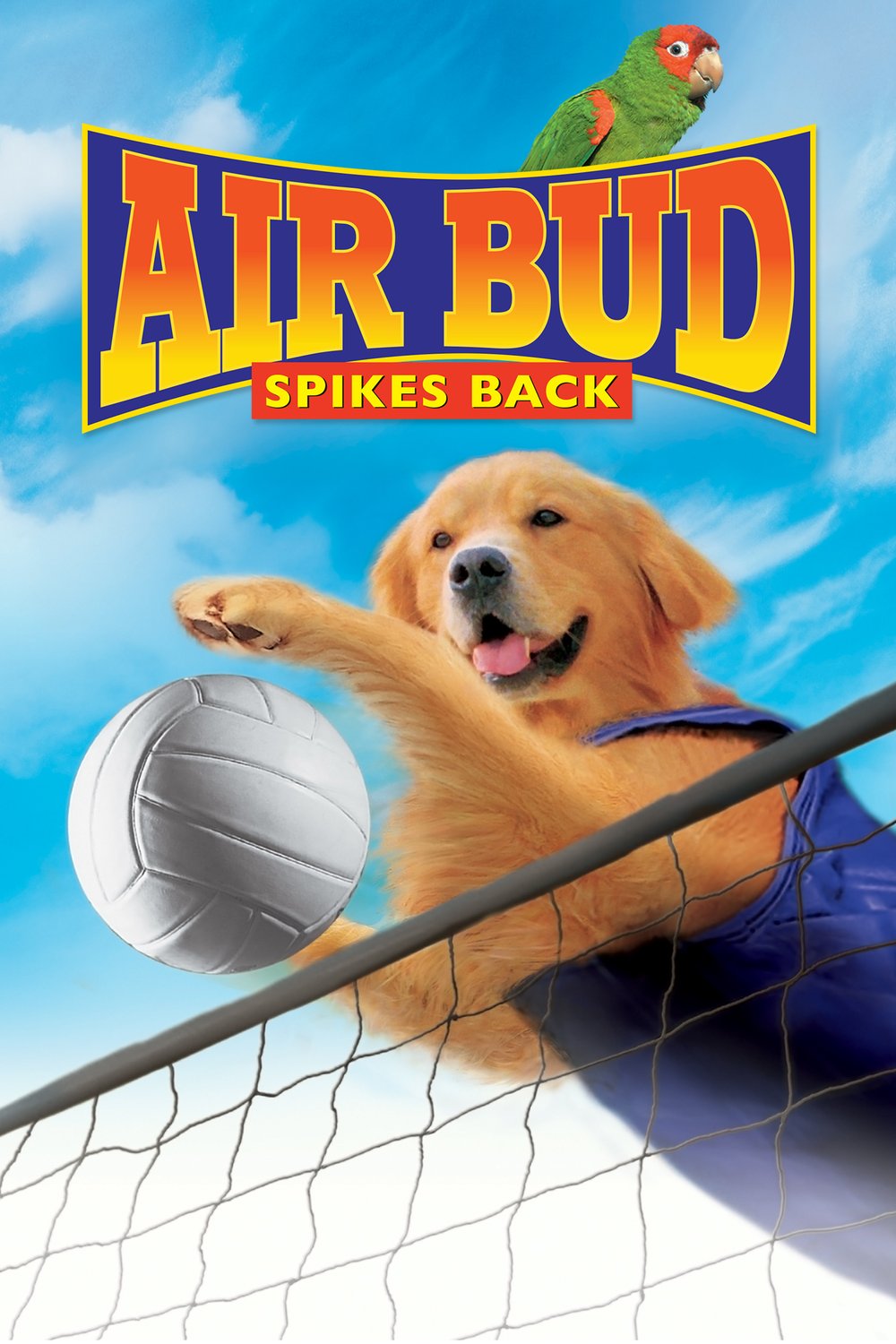 Poster of the movie Air Bud: Spikes Back