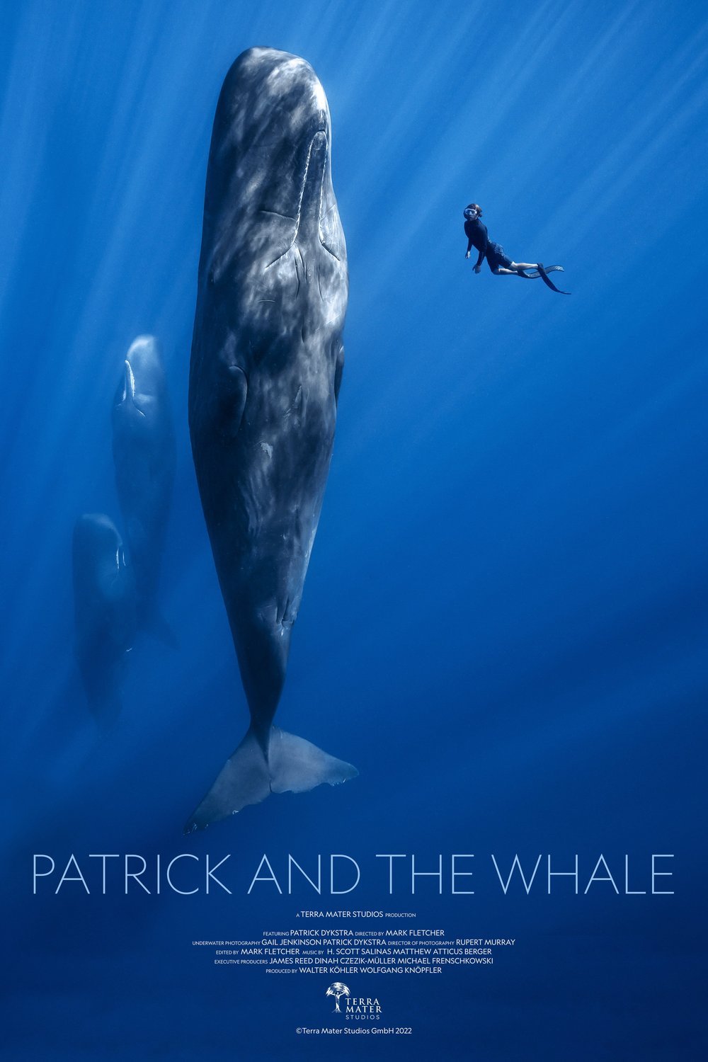 Poster of the movie Patrick and the Whale
