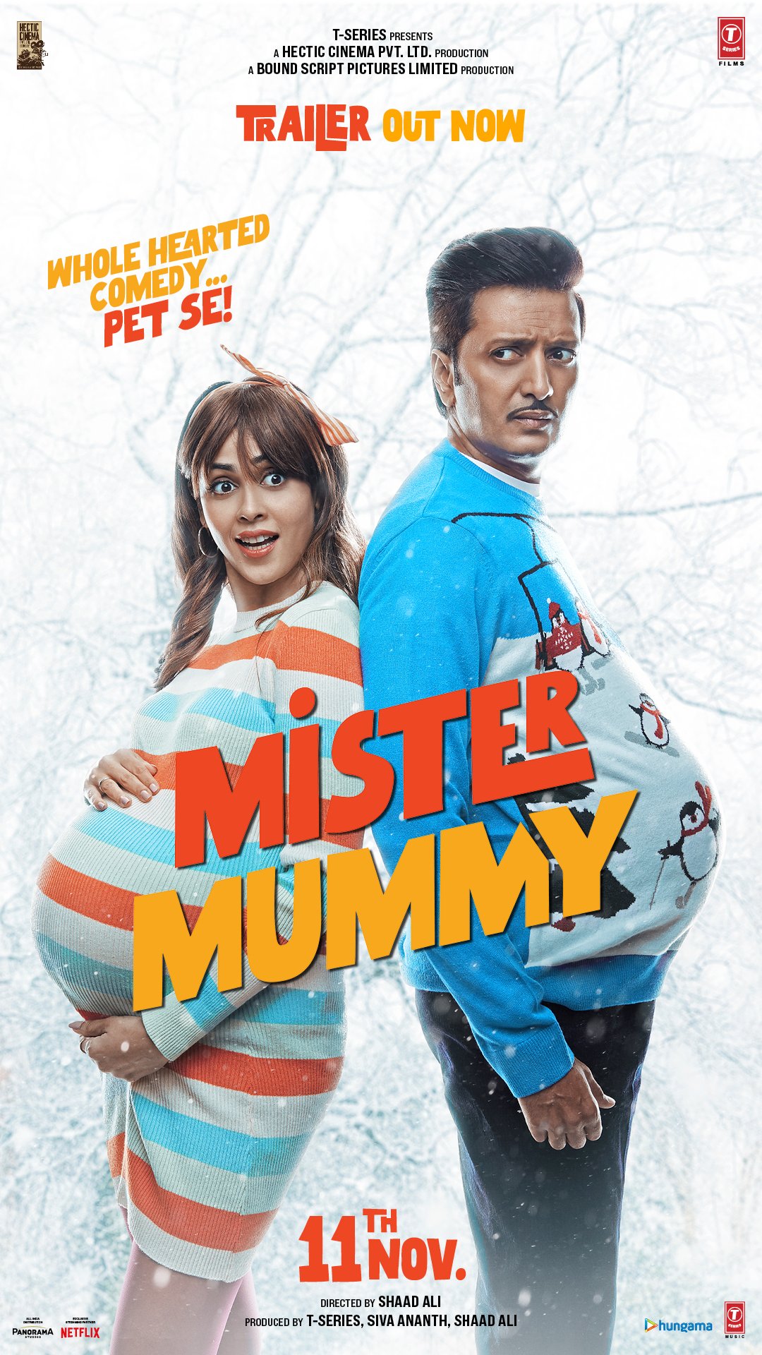 Hindi poster of the movie Mister Mummy