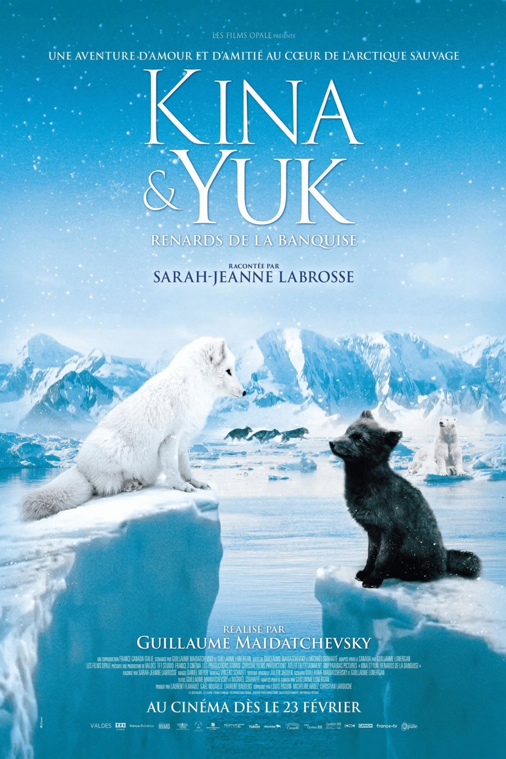 L'affiche du film Kina et Yuk, renards de la banquise