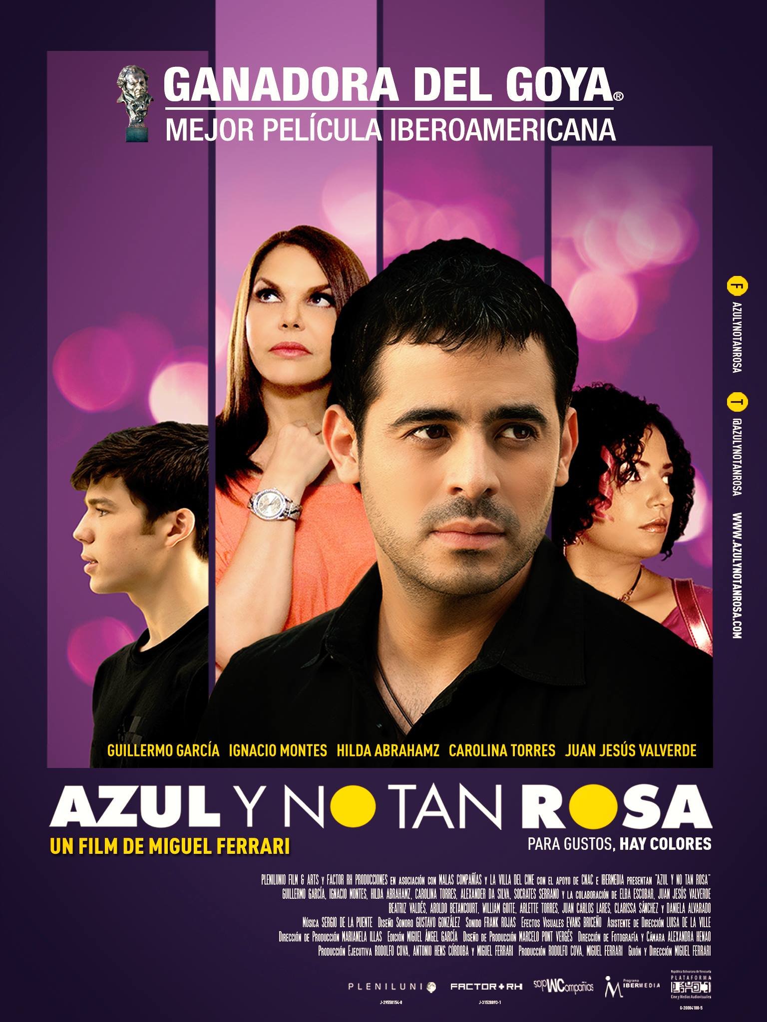 Spanish poster of the movie Azul y no tan rosa