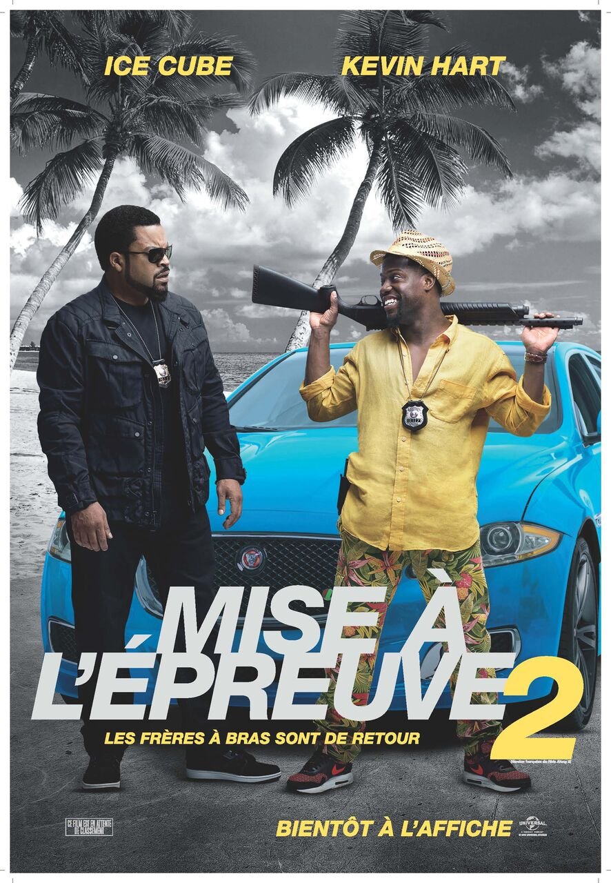 Poster of the movie Mise à l'épreuve 2