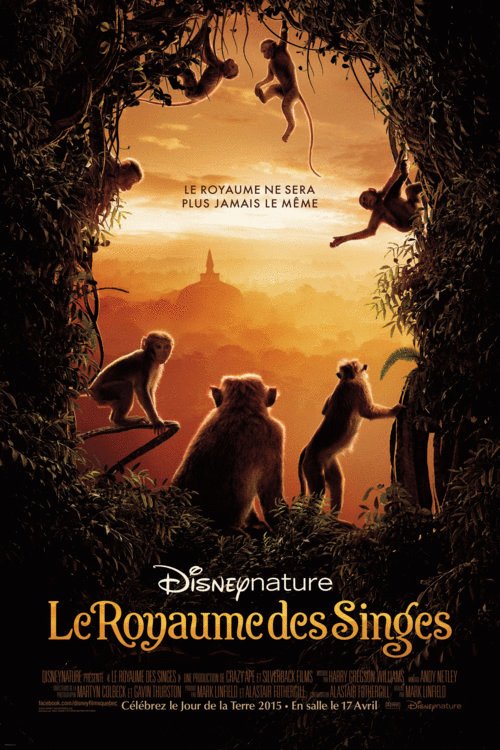 Poster of the movie Le Royaume des Singes