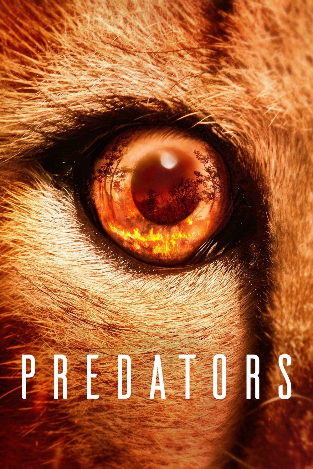 Poster of the movie Predators