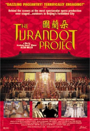 Poster of the movie The Turandot Project
