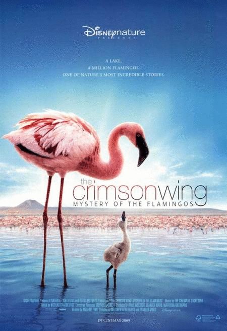 Poster of the movie The Crimson Wing: Mystery of the Flamingos