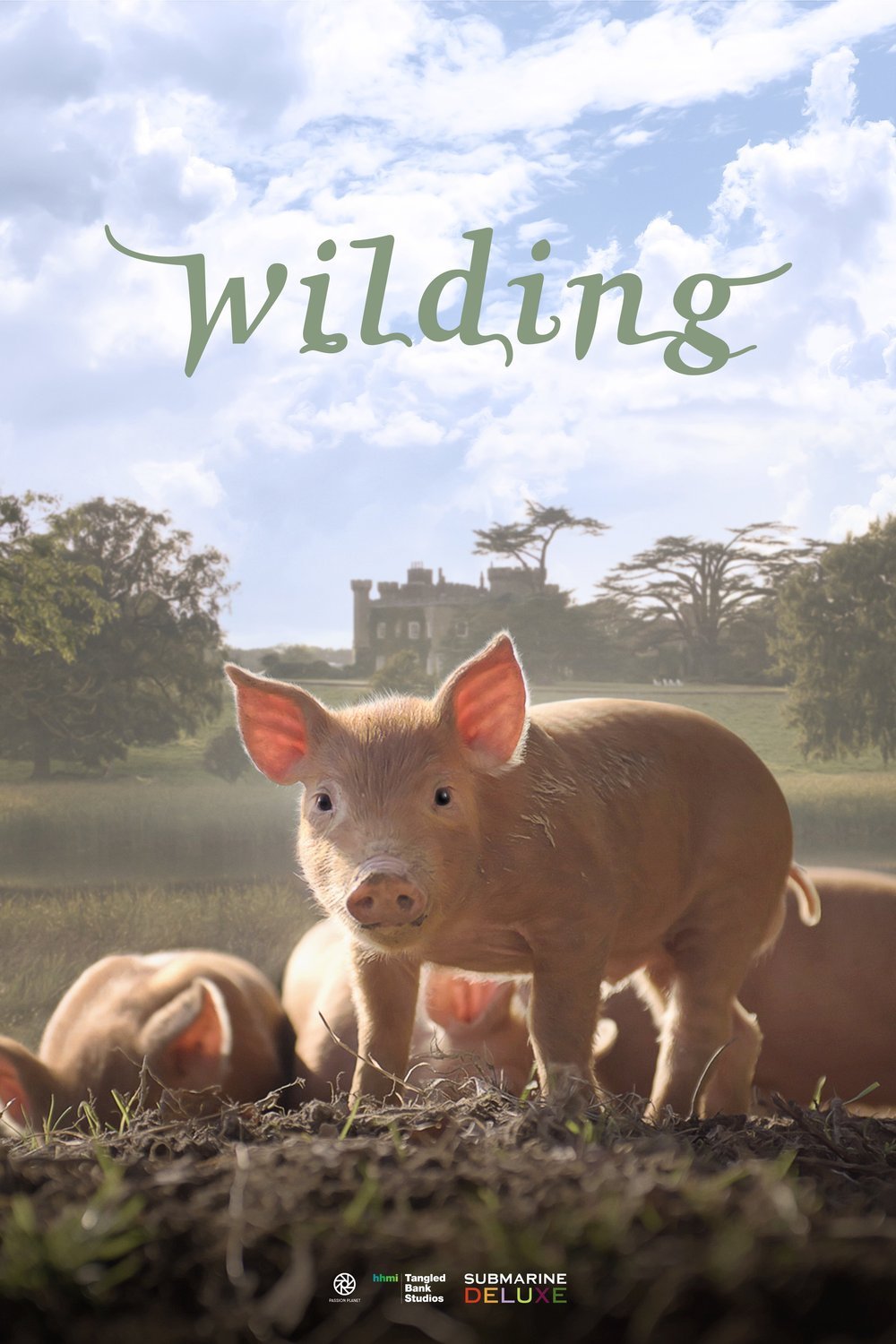 Poster of the movie Wilding