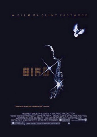 L'affiche du film Bird