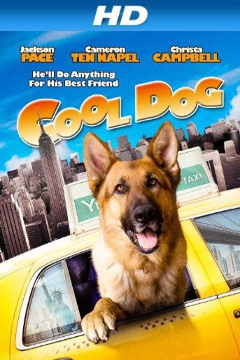 L'affiche du film Cool Dog