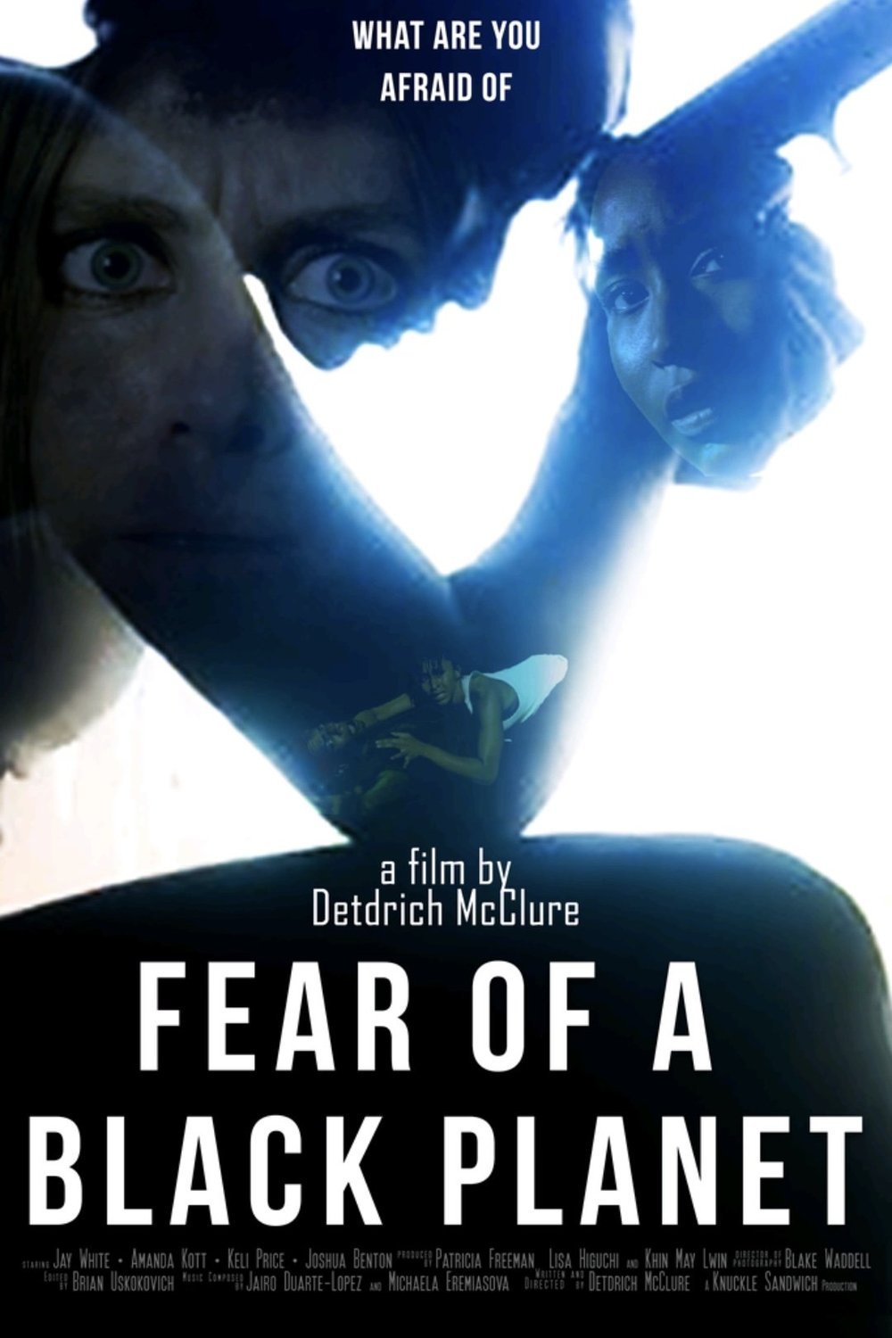 L'affiche du film Fear of a Black Planet
