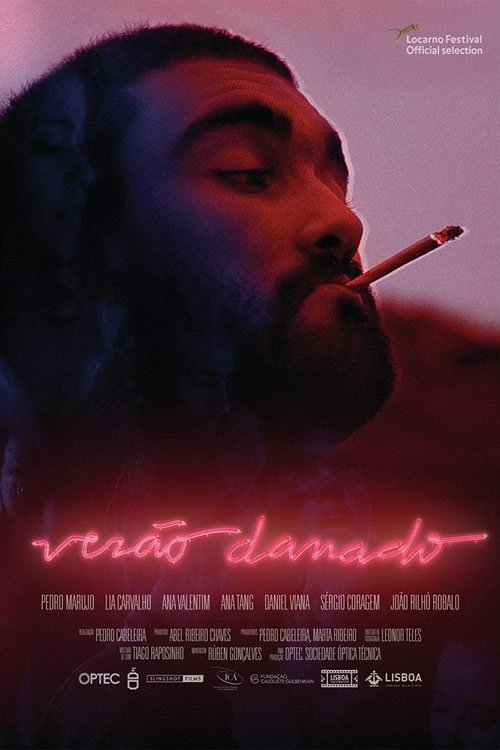 Poster of the movie Verão Danado