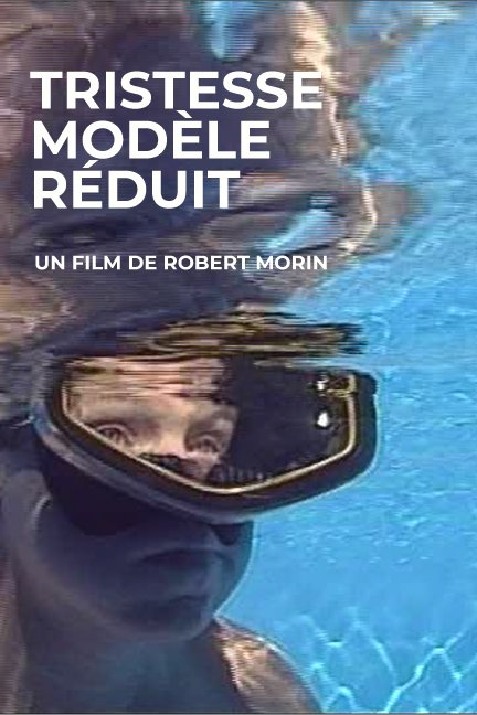 Poster of the movie Tristesse modèle réduit