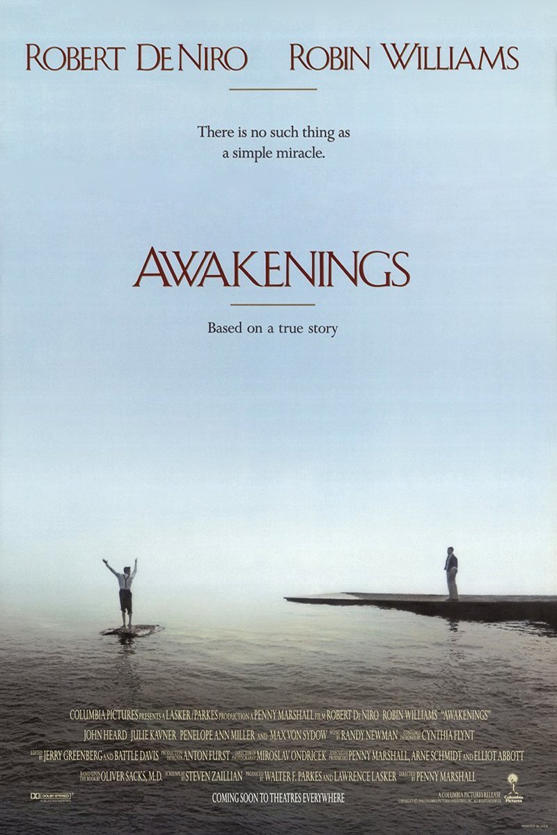 Poster of the movie Awakenings