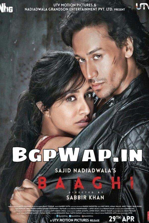 L'affiche originale du film Baaghi: A Rebel For Love en Hindi