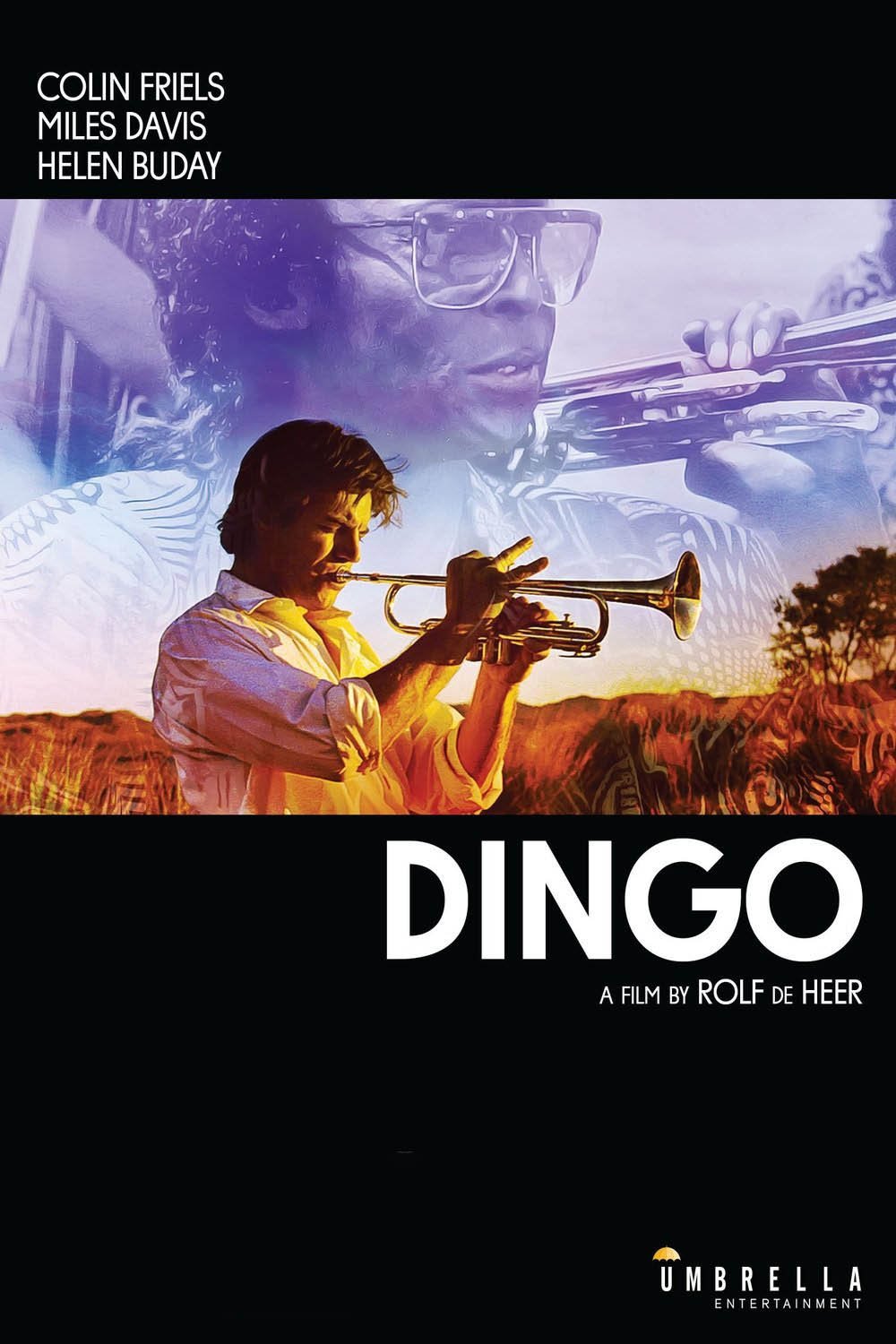 Poster of the movie Dingo