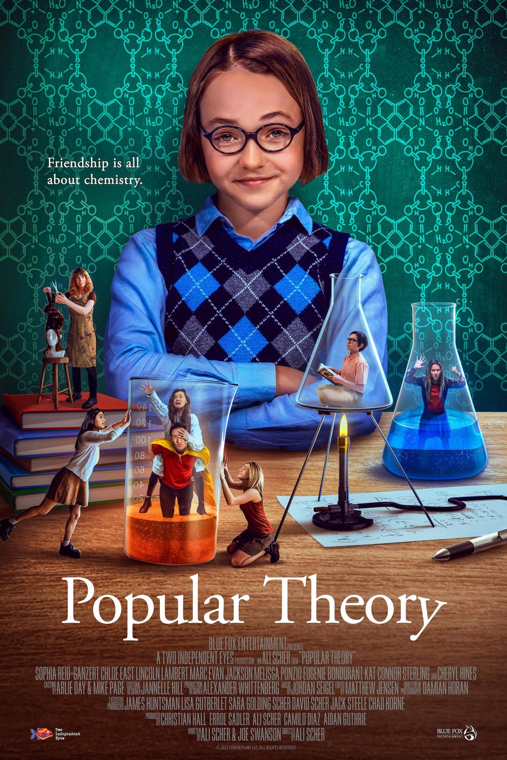 L'affiche du film Popular Theory