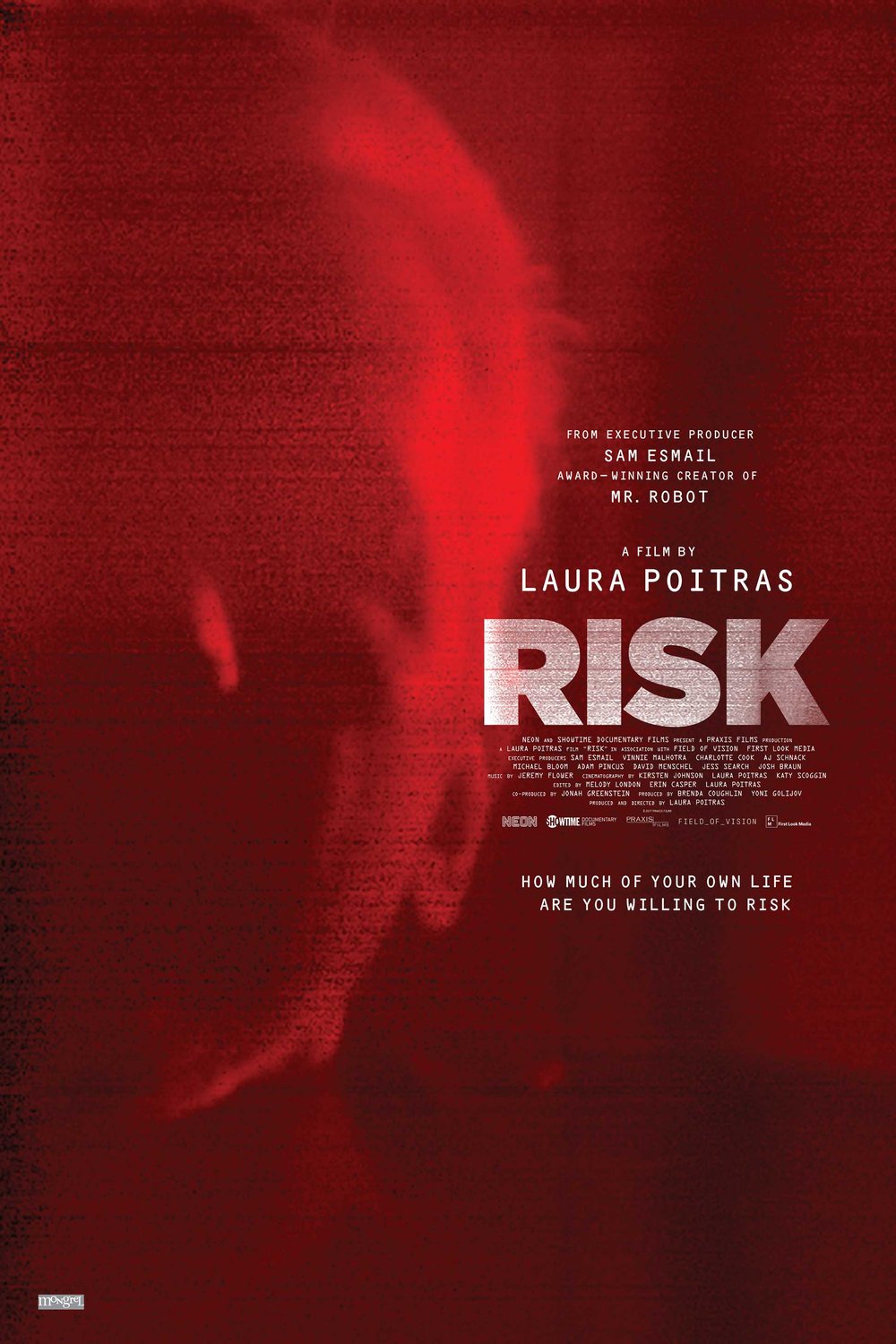 Risk movie information