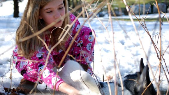 Photo from the movie A Dog for Christmas