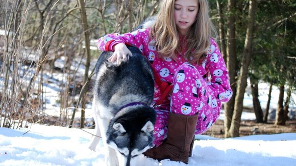 Photo from the movie A Dog for Christmas