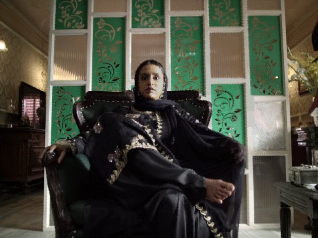 Photo du film Haseena