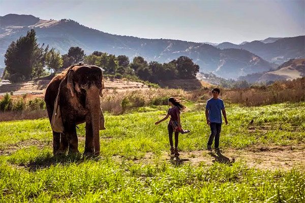 Photo du film Saving Flora [2018]